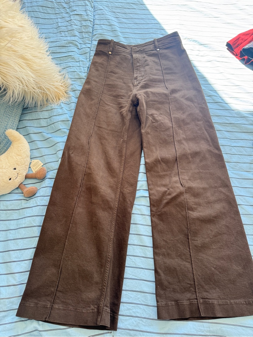 Zara Men's Wide-Leg Chino Pants in Dark Brown